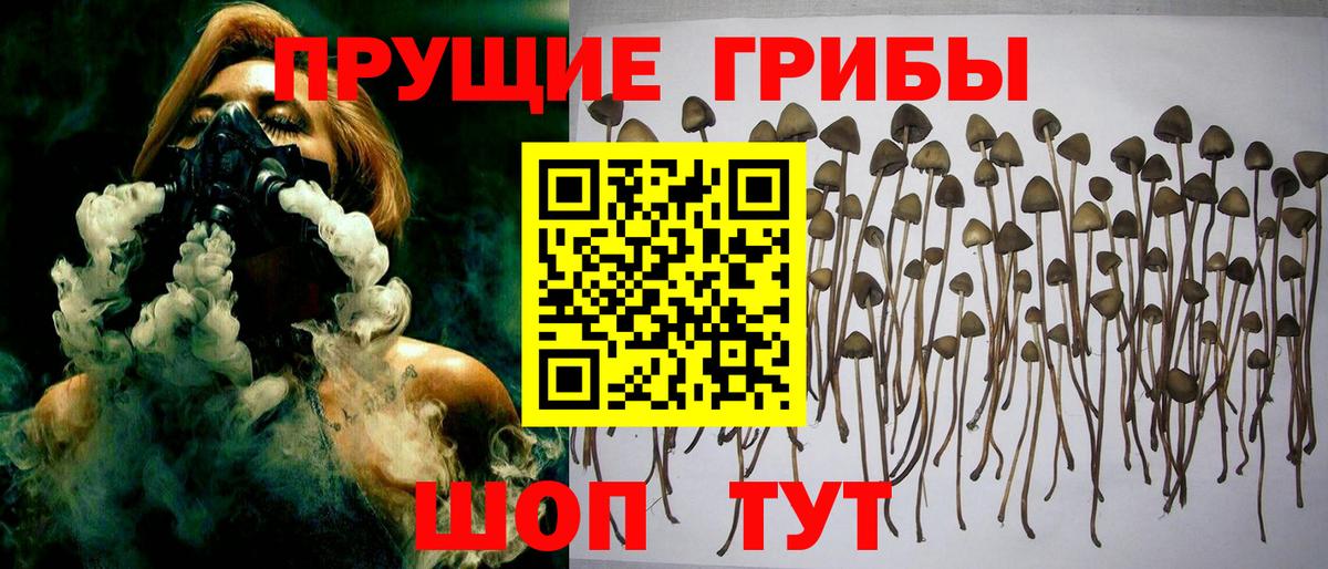 Галлюциногенные грибы мицелий Верхняя Пышма